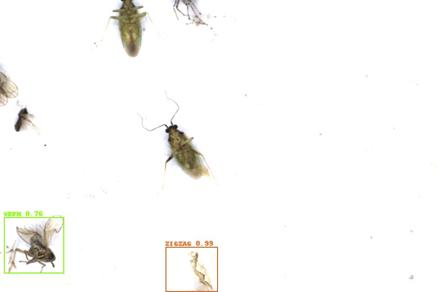 Image 21
